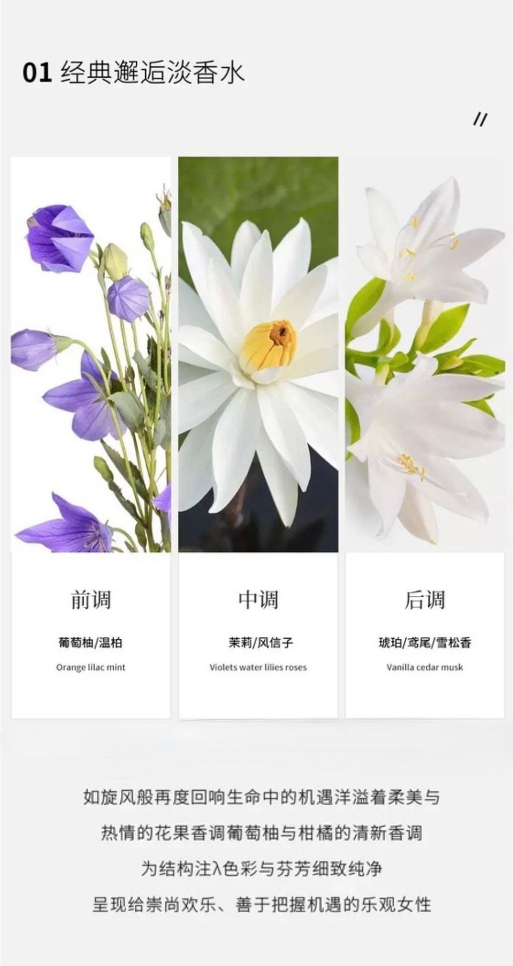 image_20D07AFD-F488-495D-A9B0-9701861410AE_1757229302