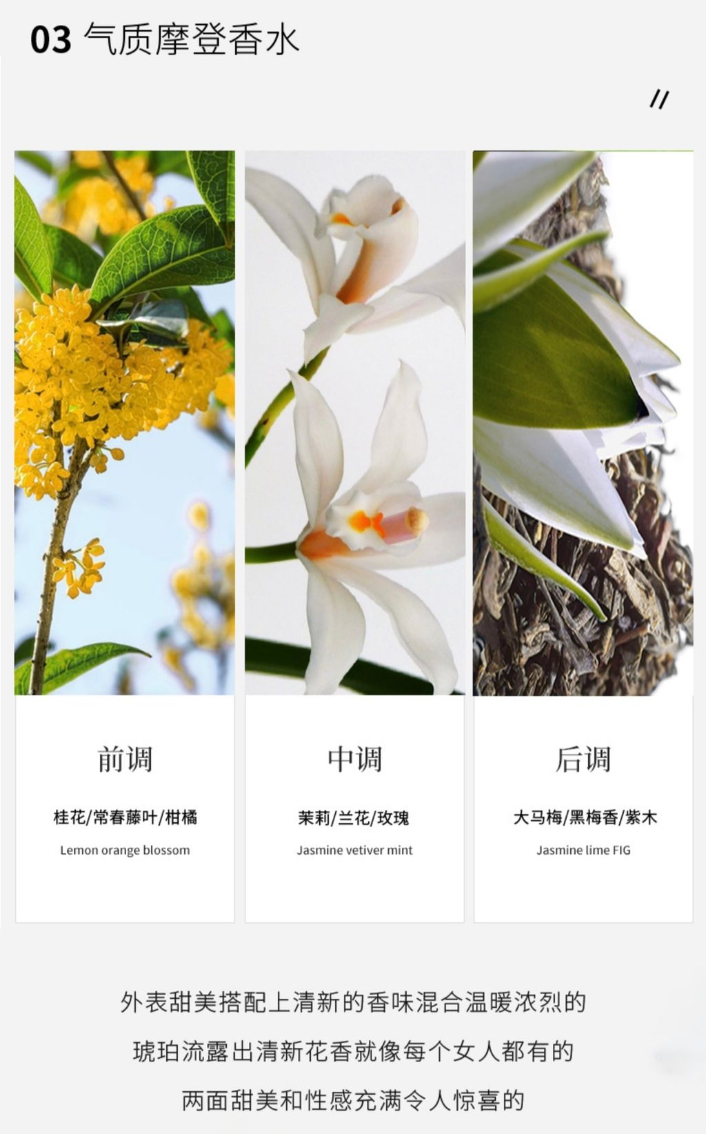 image_CC2AF7F1-BD18-4676-B7EF-3DAB460AD98F_1757229302