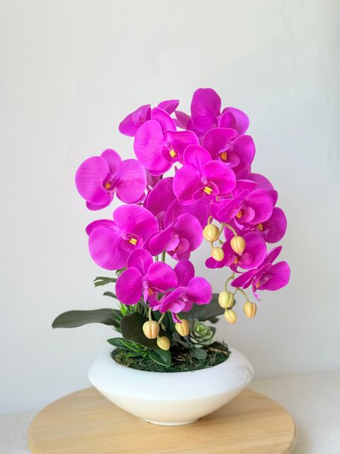 image_03036803-FC20-4108-8E20-75BEA4B8BC5D_1773440015