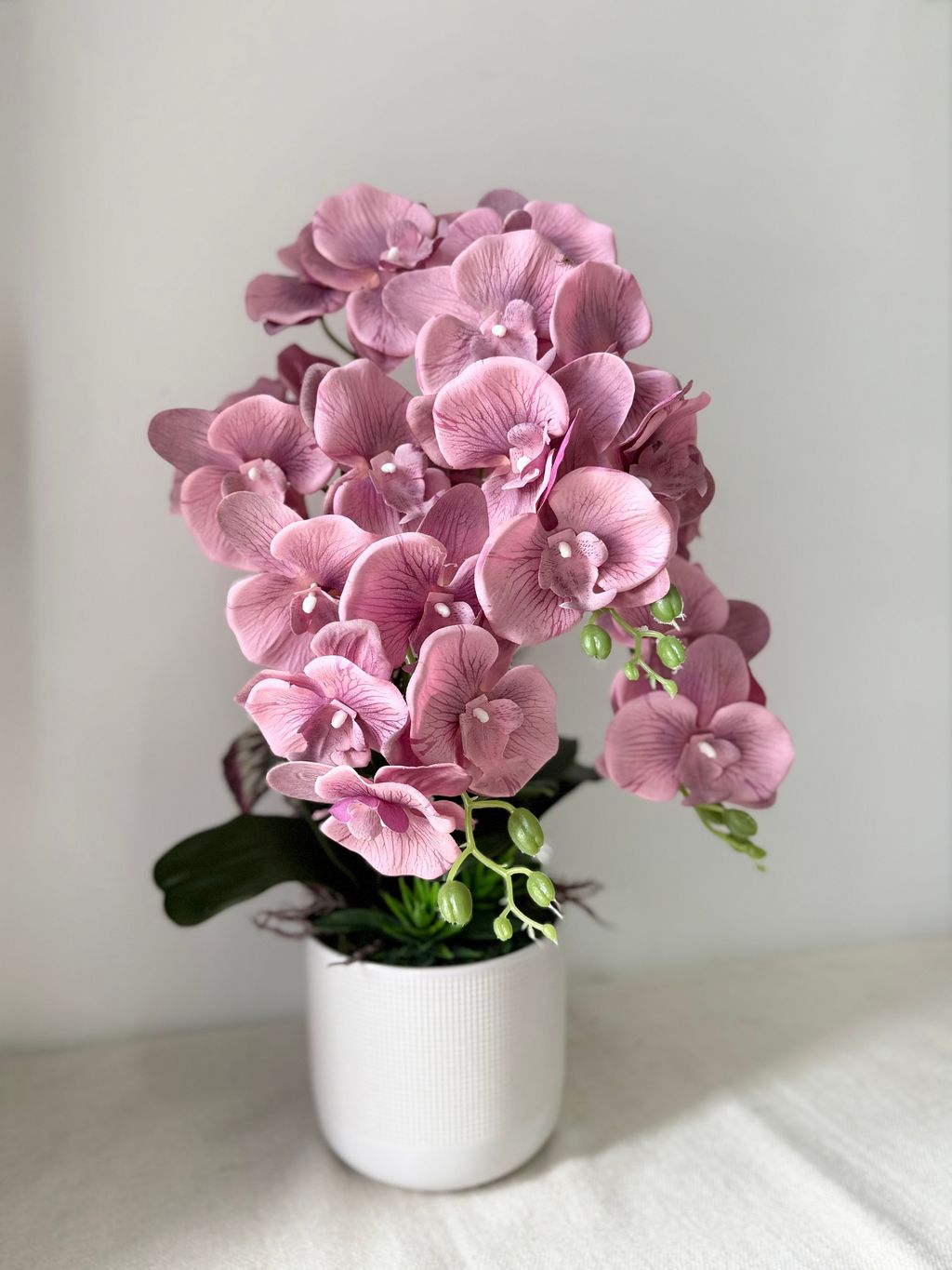 image_4B25E6E5-B339-416B-81AB-FC732E93B2F3_1773707393