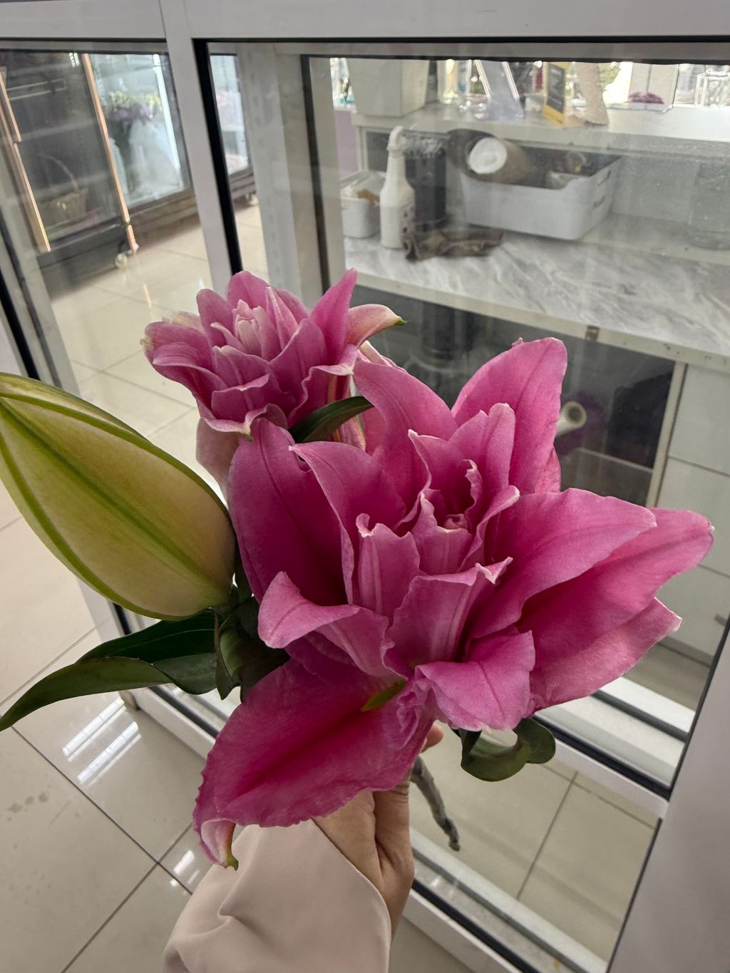 image_13AFF0B7-3B1E-4650-8C04-243B891155E7_1742445060