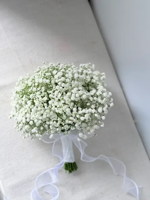 image_1BB86AEC-3297-4594-81B9-2DCD56CC70B3_1762054009