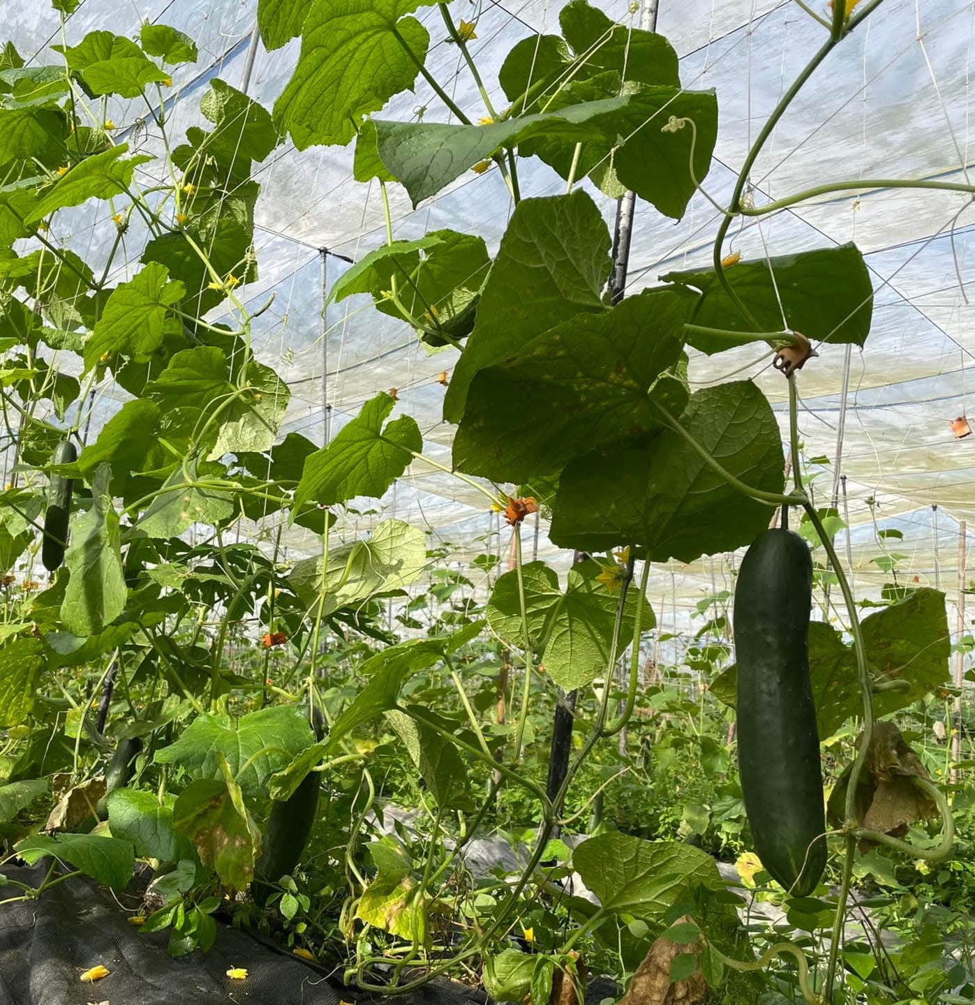 FB_IMG_1772899470410