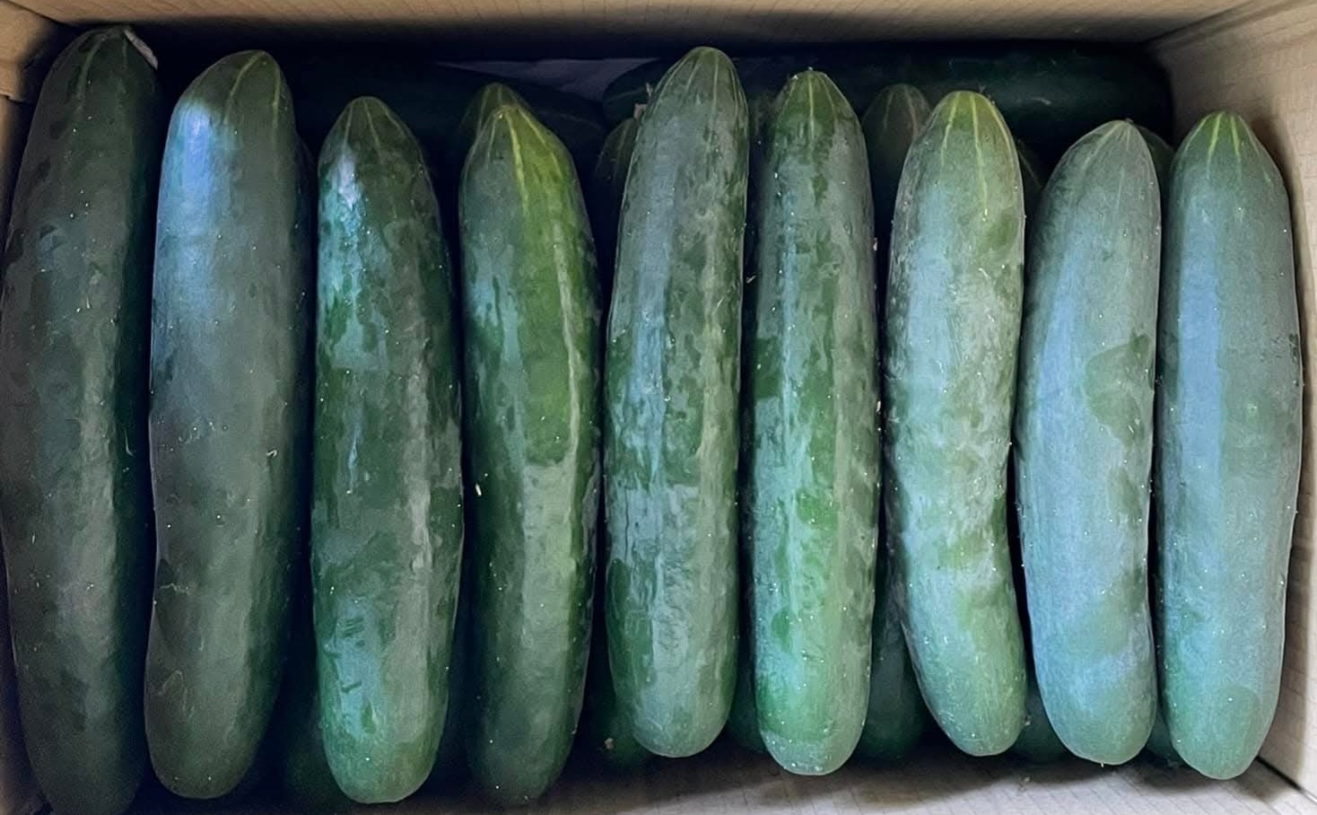 FB_IMG_1772899450327