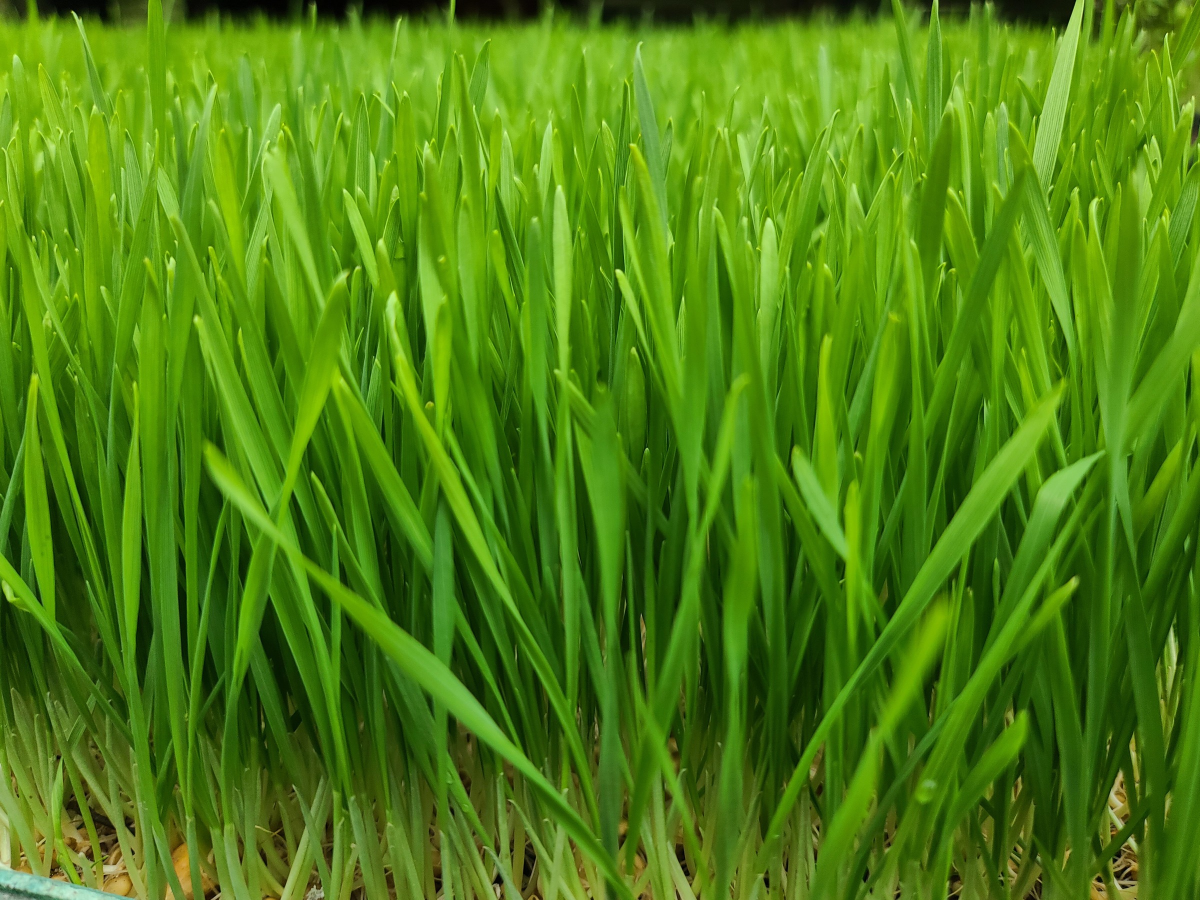 20230325_104820