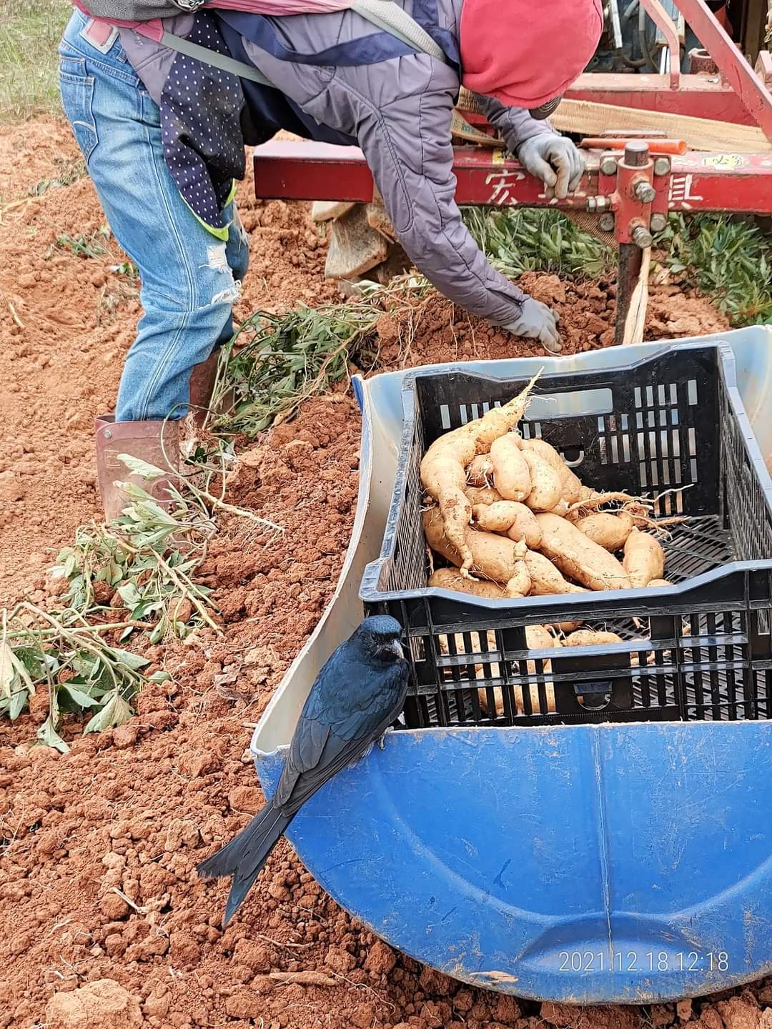 Untitled - 2023-11-13T152845.281