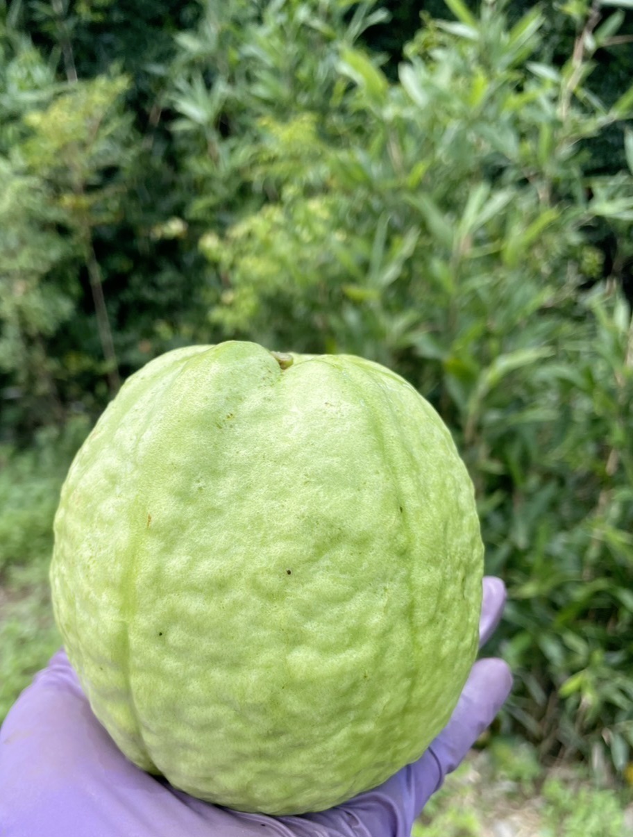 1727579983776