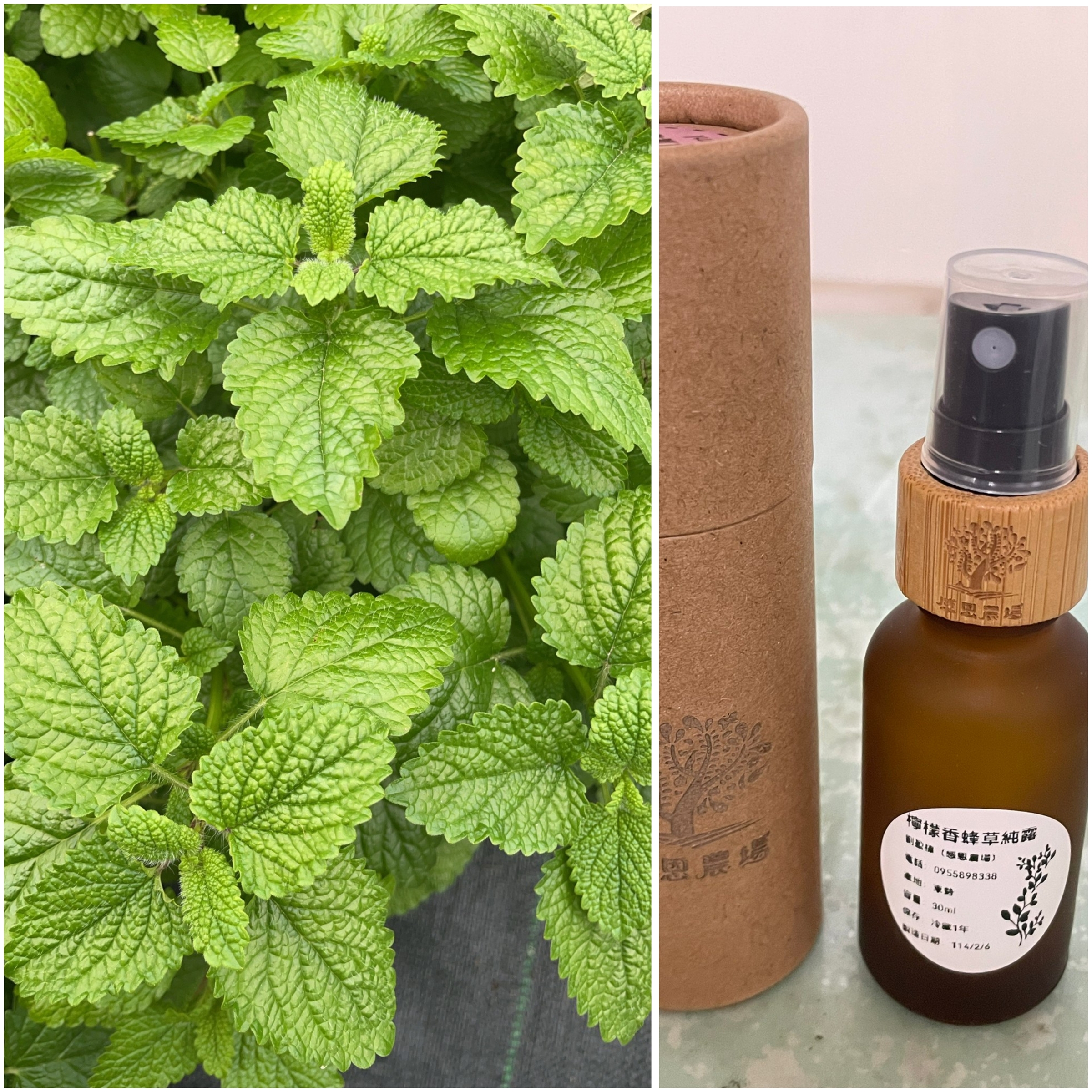 InCollage_20250223_133035431