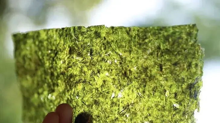 800x (92)