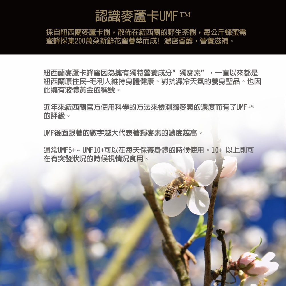 edm-05(11)