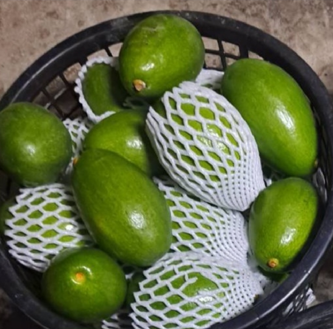 Screenshot_20251102_135259