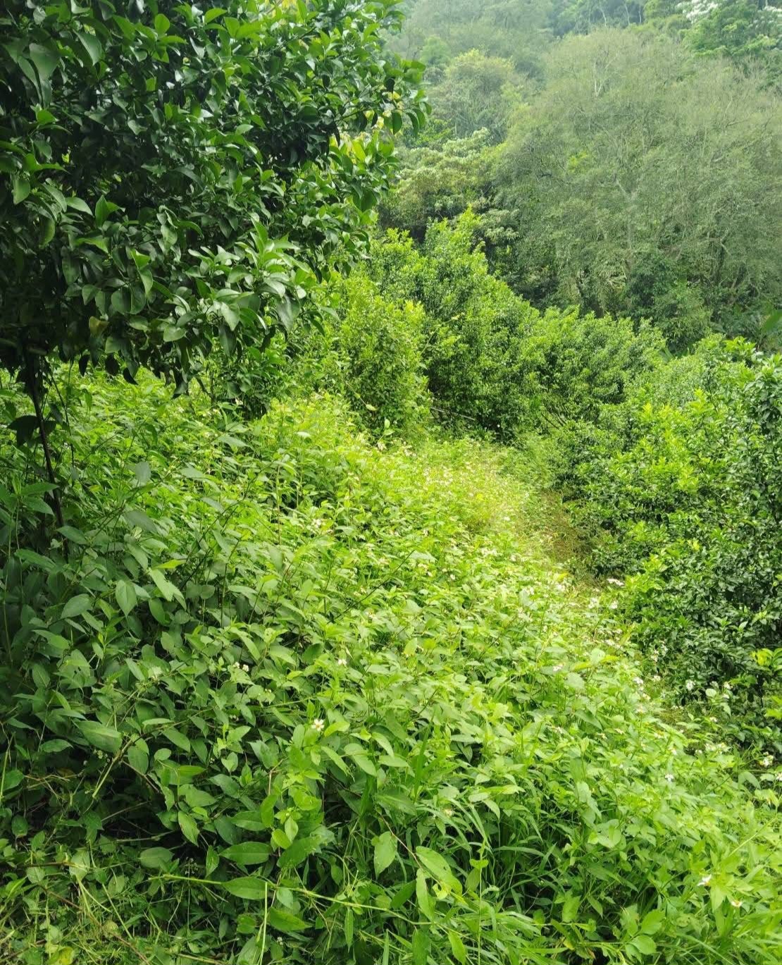 FB_IMG_1762310963373