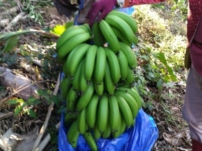 04548ab7c6778e964a92cbaf41ef9f83