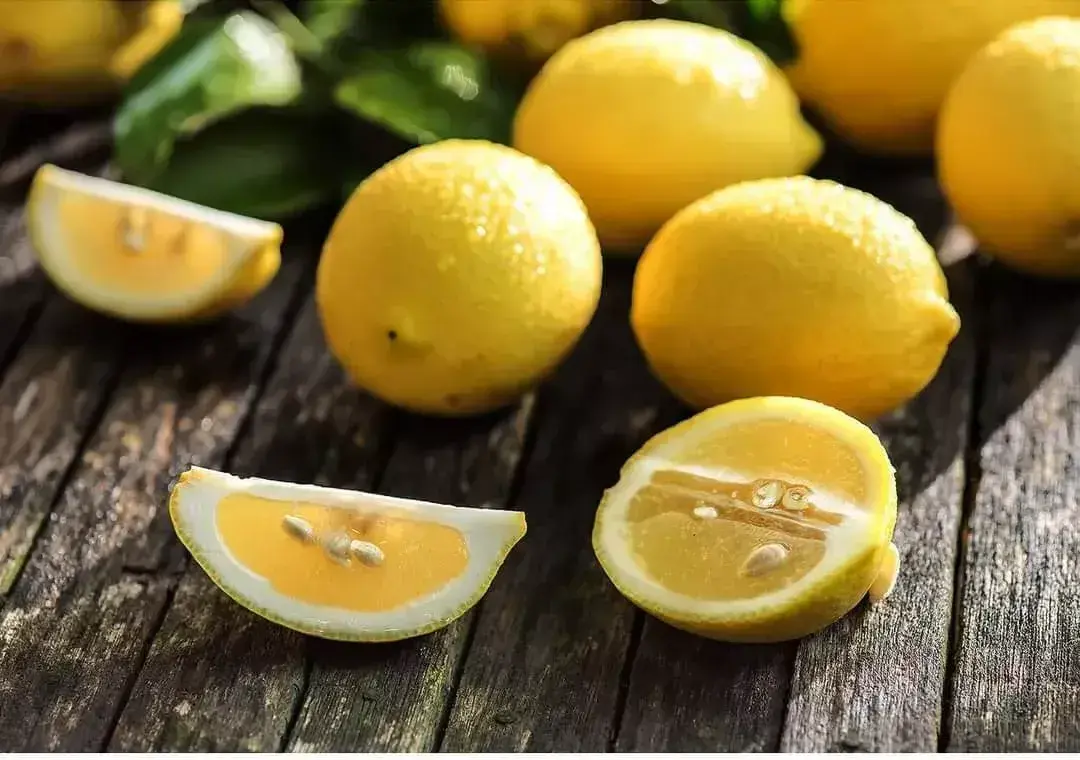 FB_IMG_1709973657615