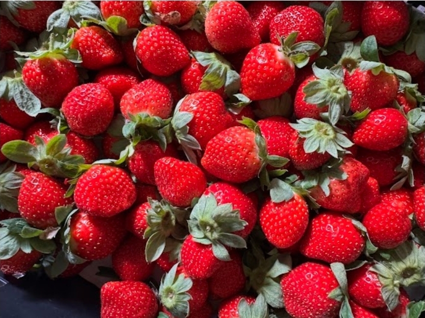 Screenshot_20260121_094550_LINE