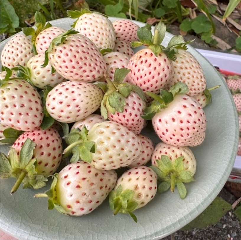 Screenshot_20260121_094726_LINE