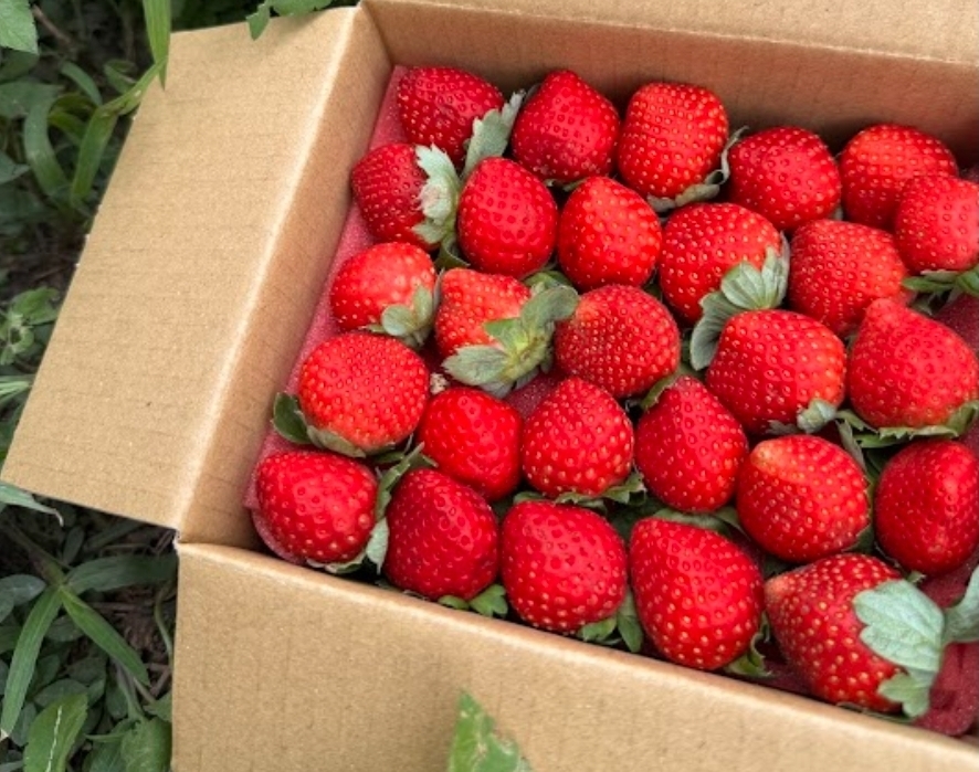 Screenshot_20260121_094836_LINE