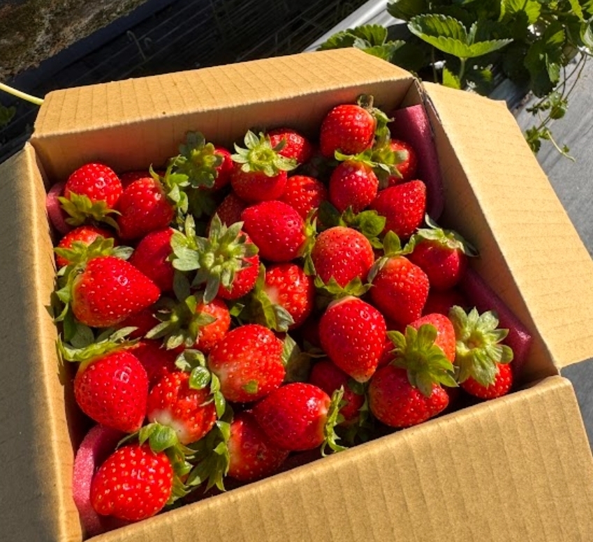 Screenshot_20260121_094858_LINE