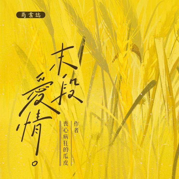 464504134_1088458656620739_2503860504198986660_n