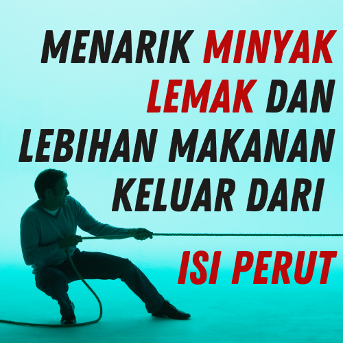 Copy of NOFEXS 500x500 (6).png Copy of NOFEXS 500x500 (6).png