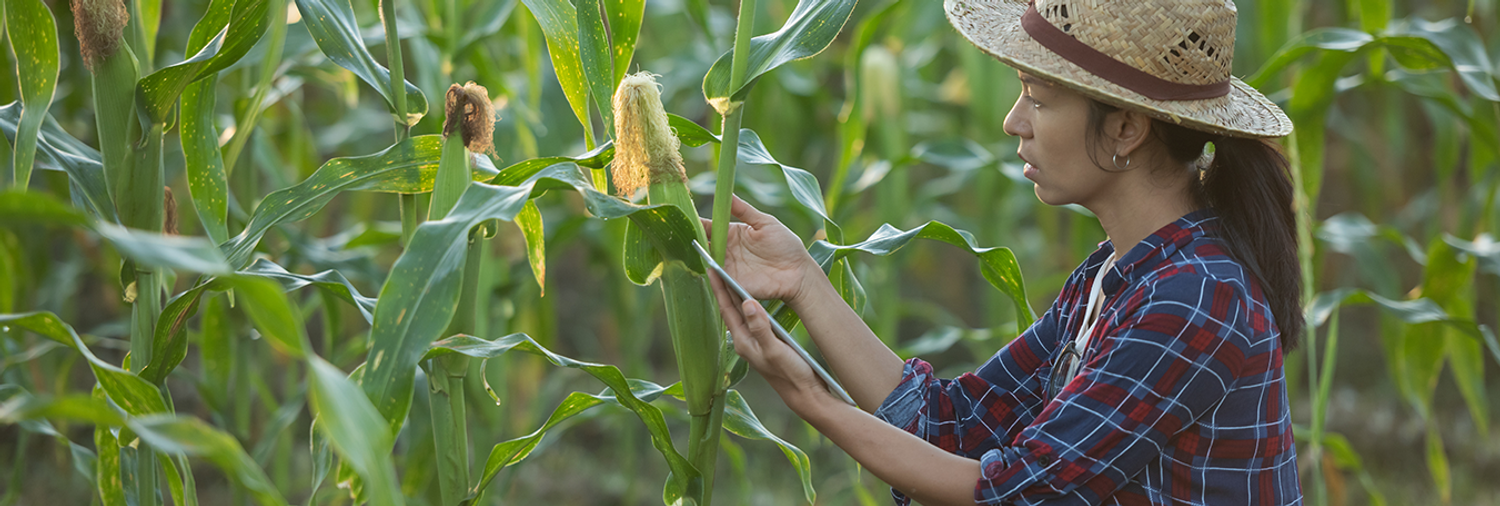 Peladang eShop | Support Your Local Farms