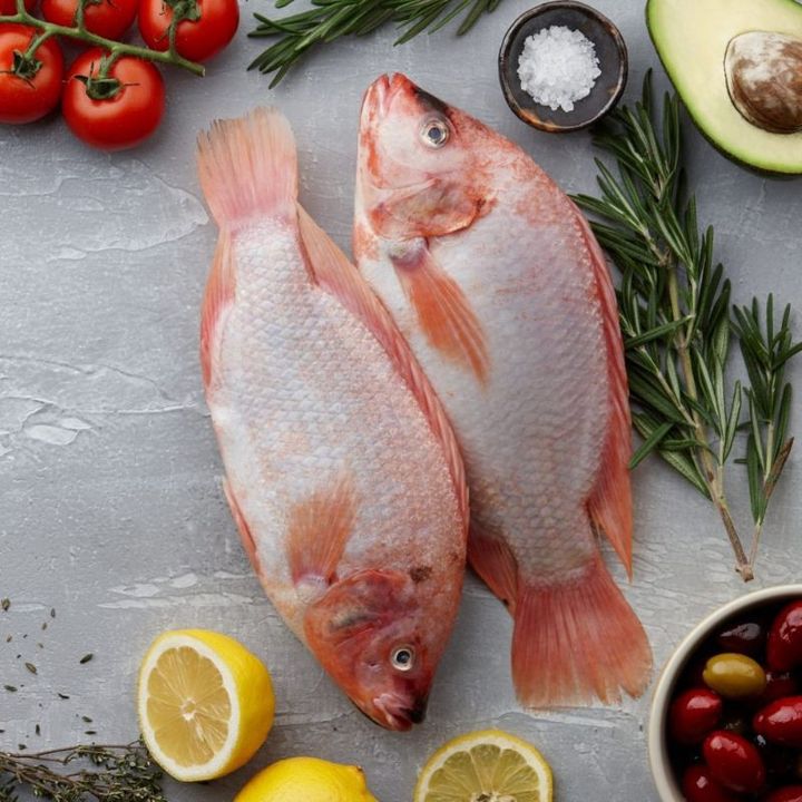 IKAN TILPIA FROZEN.jpg