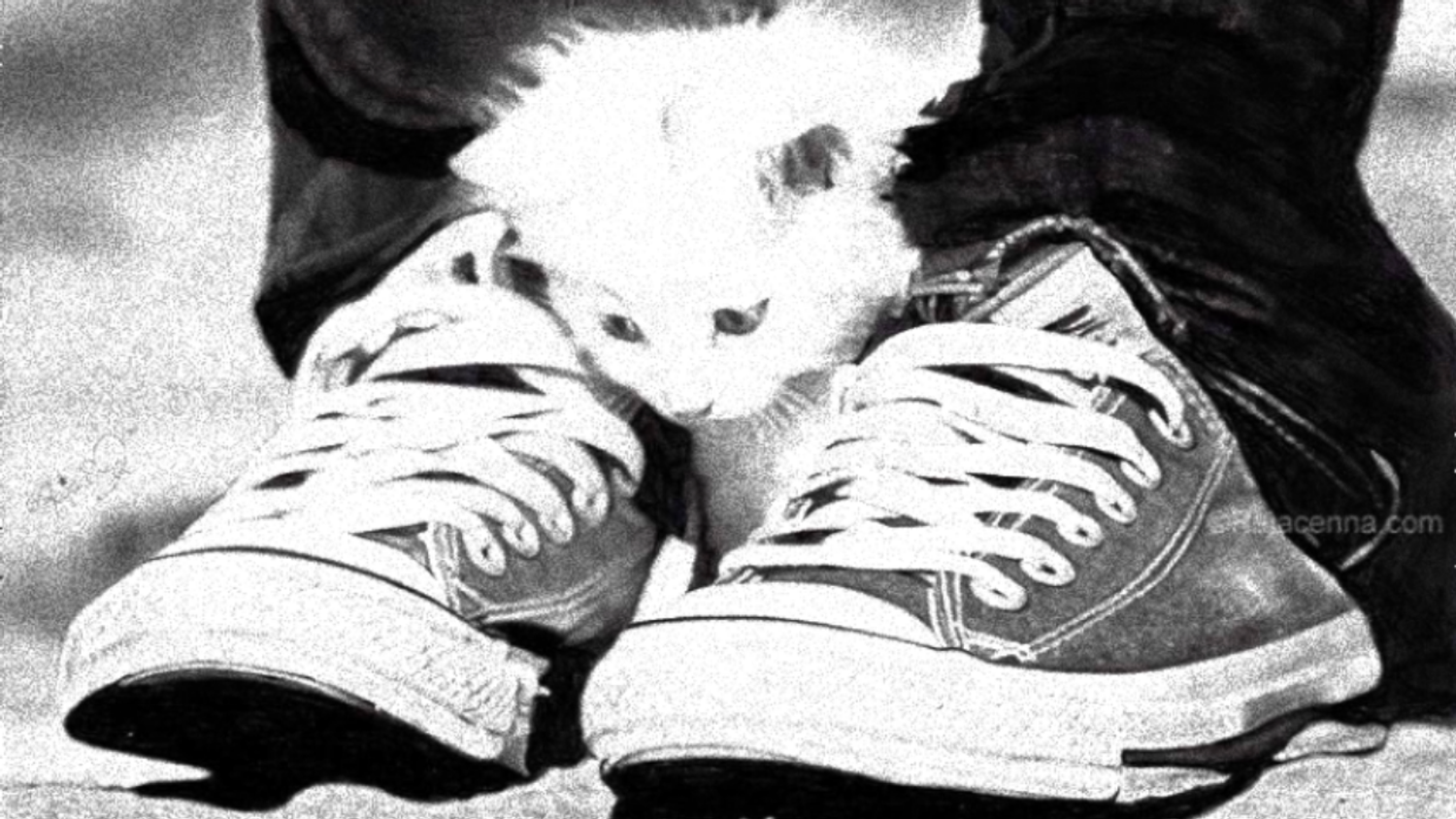 Untied Kickers | GET COMFY