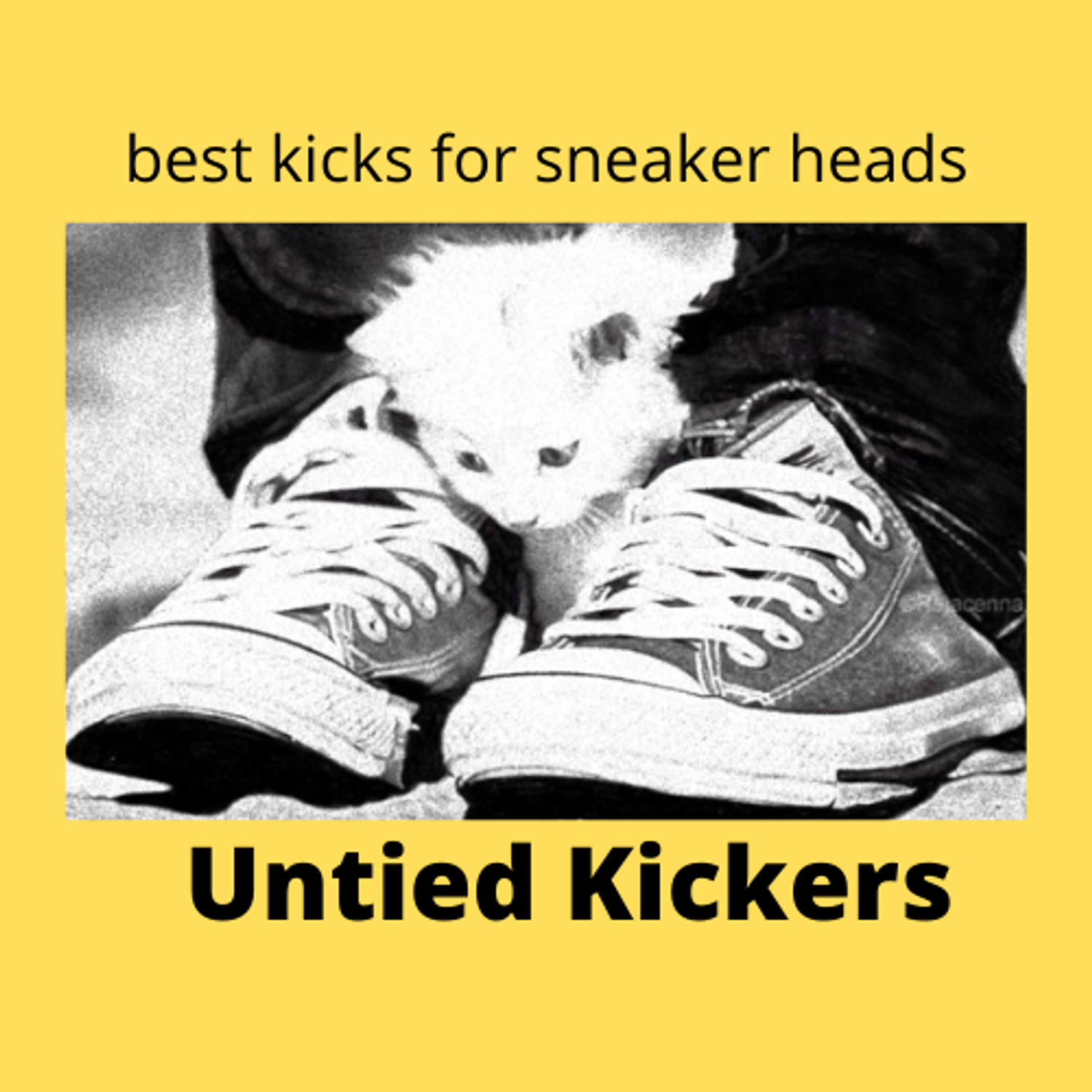 Untied Kickers | Follow Us for 50% OFF Deals
