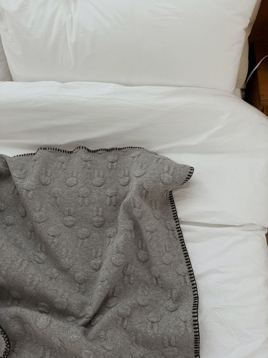 image_B2FC0F12-03D8-43CD-BF1F-2BE536EEC509_1759805397