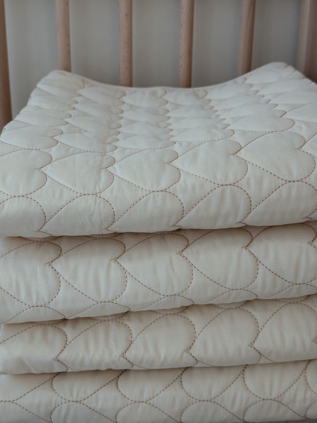 image_C7C0CCD2-7E9B-4EB8-A2CB-57C3E918C4FF_1761892974