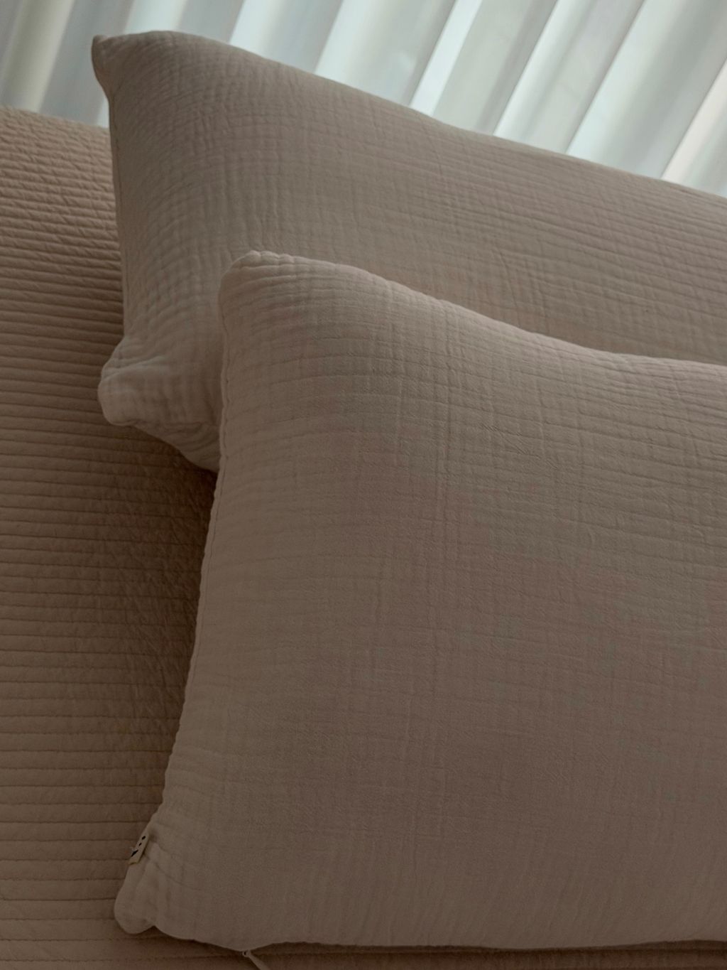 image_B7983DA4-EB16-4DE1-8793-D31C83B9D292_1762523358