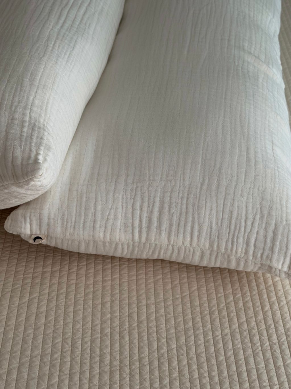 image_FCC0C8F7-5E6D-4B59-A6FB-F344E173AD00_1762523358