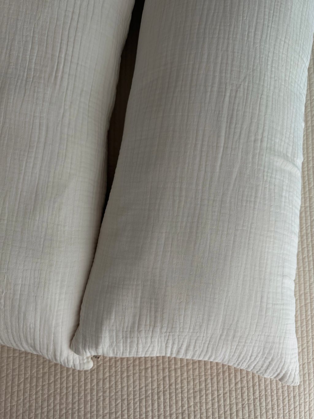 image_FB8F1D13-F8A2-466D-B723-30BBD75F37C9_1762523358