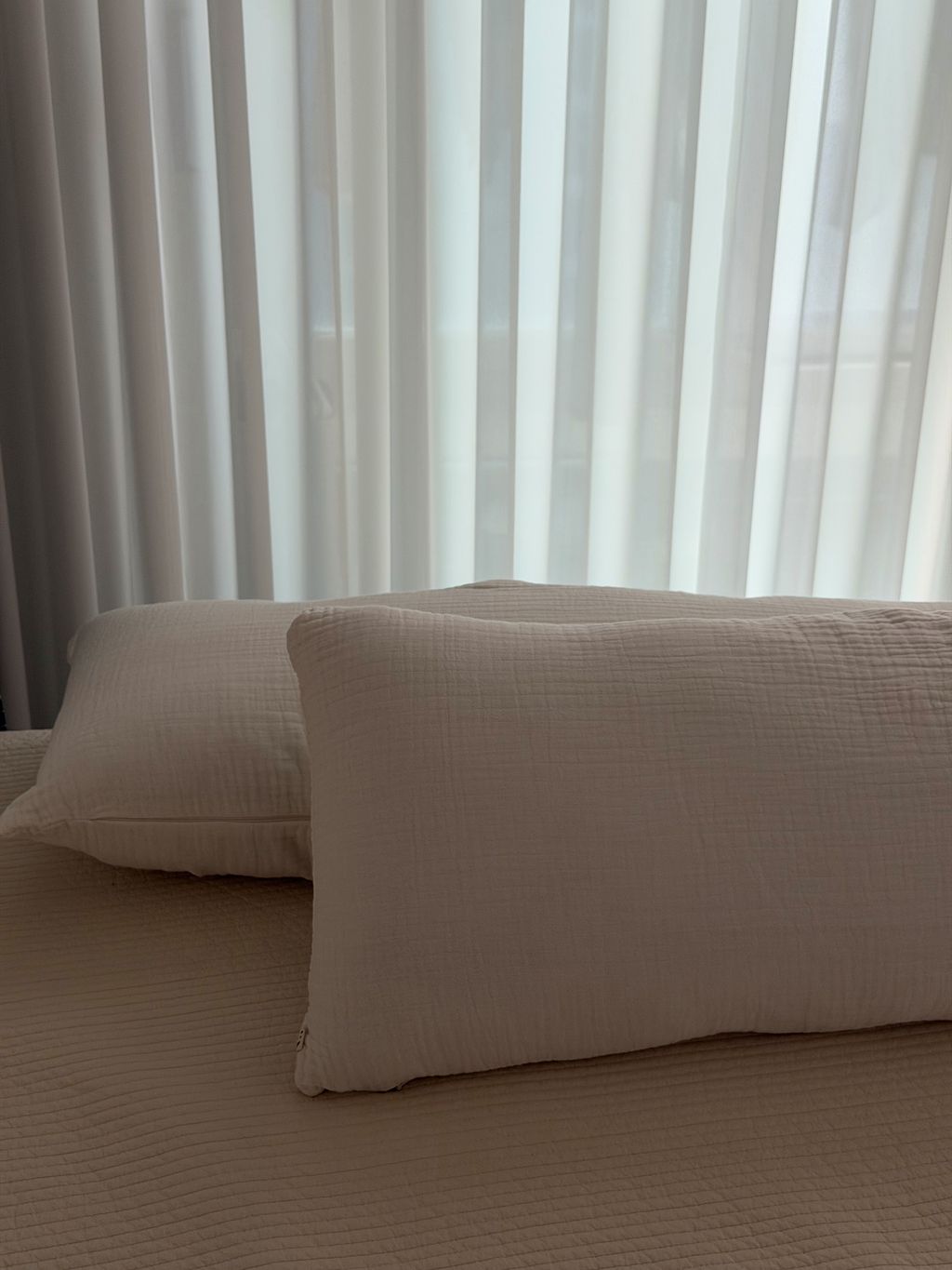 image_06F8C6F7-0676-4B72-9D7B-DC07094AEDB8_1762523358