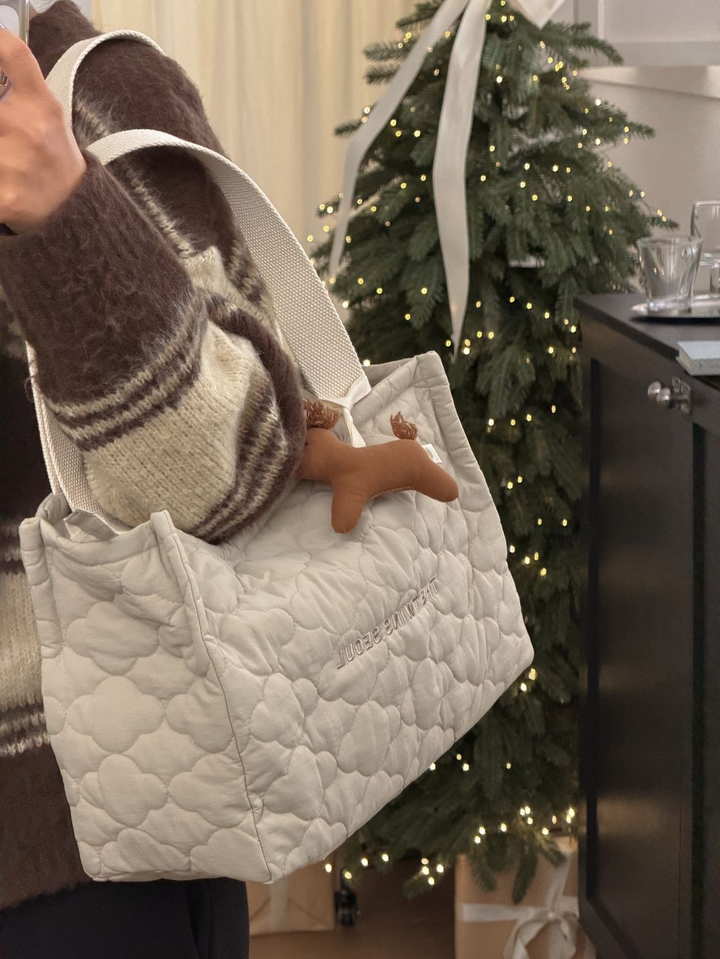 image_B15A57B5-4E89-4B59-8535-C50F306CB9BE_1765157187