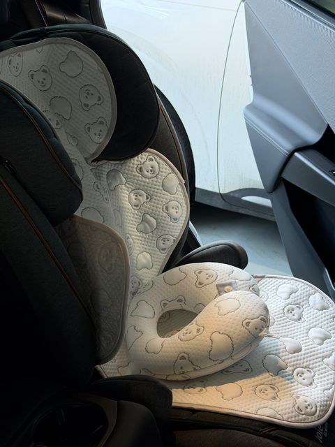 image_0883DF01-8755-4A04-AF70-C6FE451D5B0A_1766064173