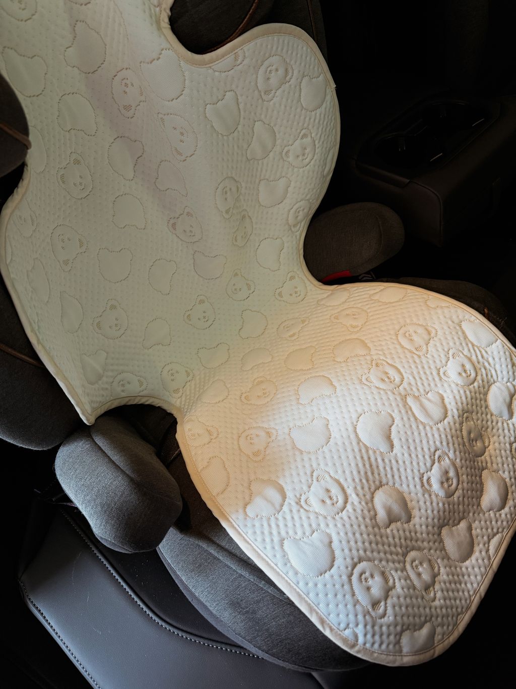 image_CE424C0C-337E-4055-B740-4686238223EF_1766064173