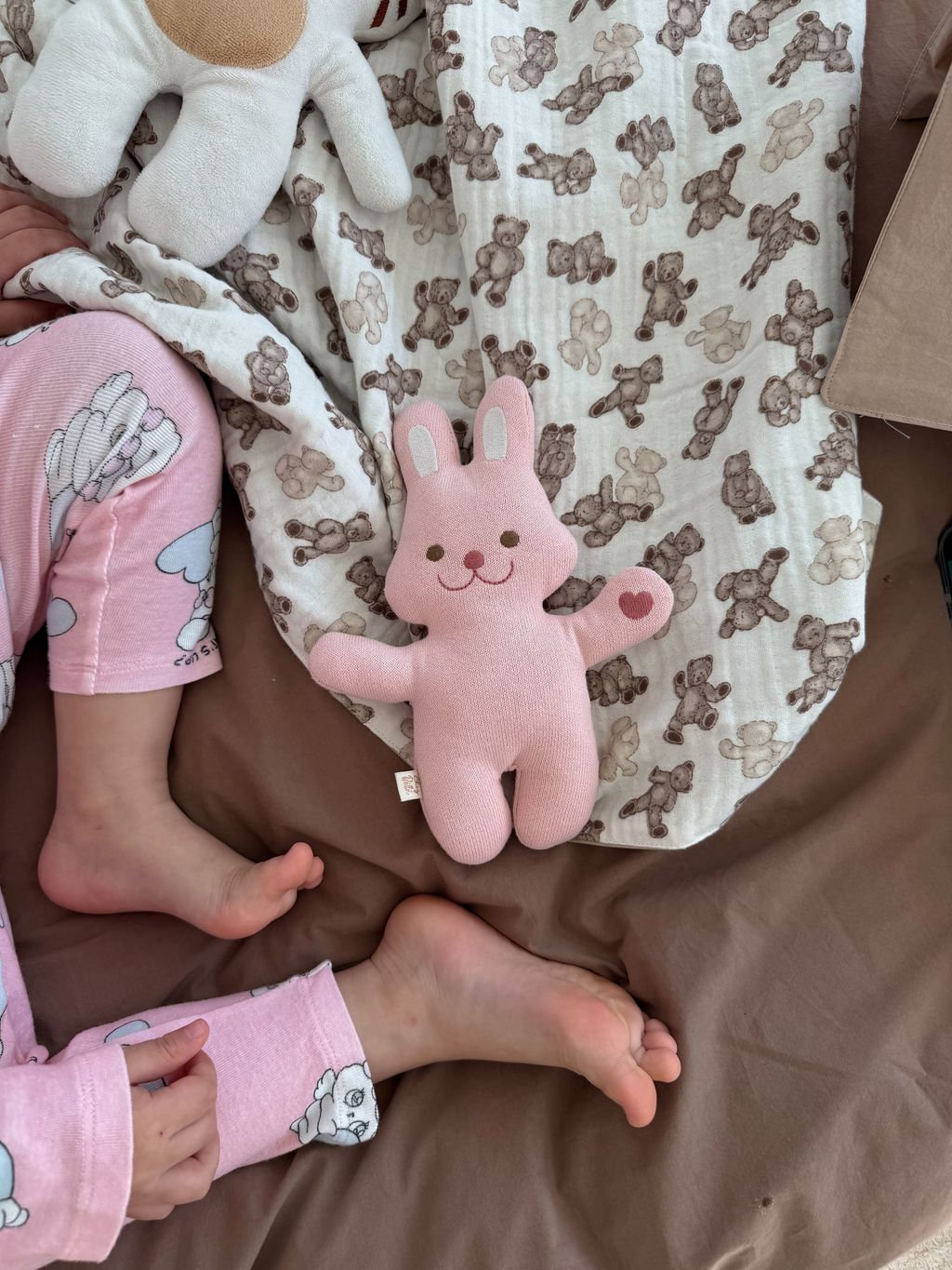 image_019D23AE-40A1-43C0-AED0-B62F4F85E365_1767444417