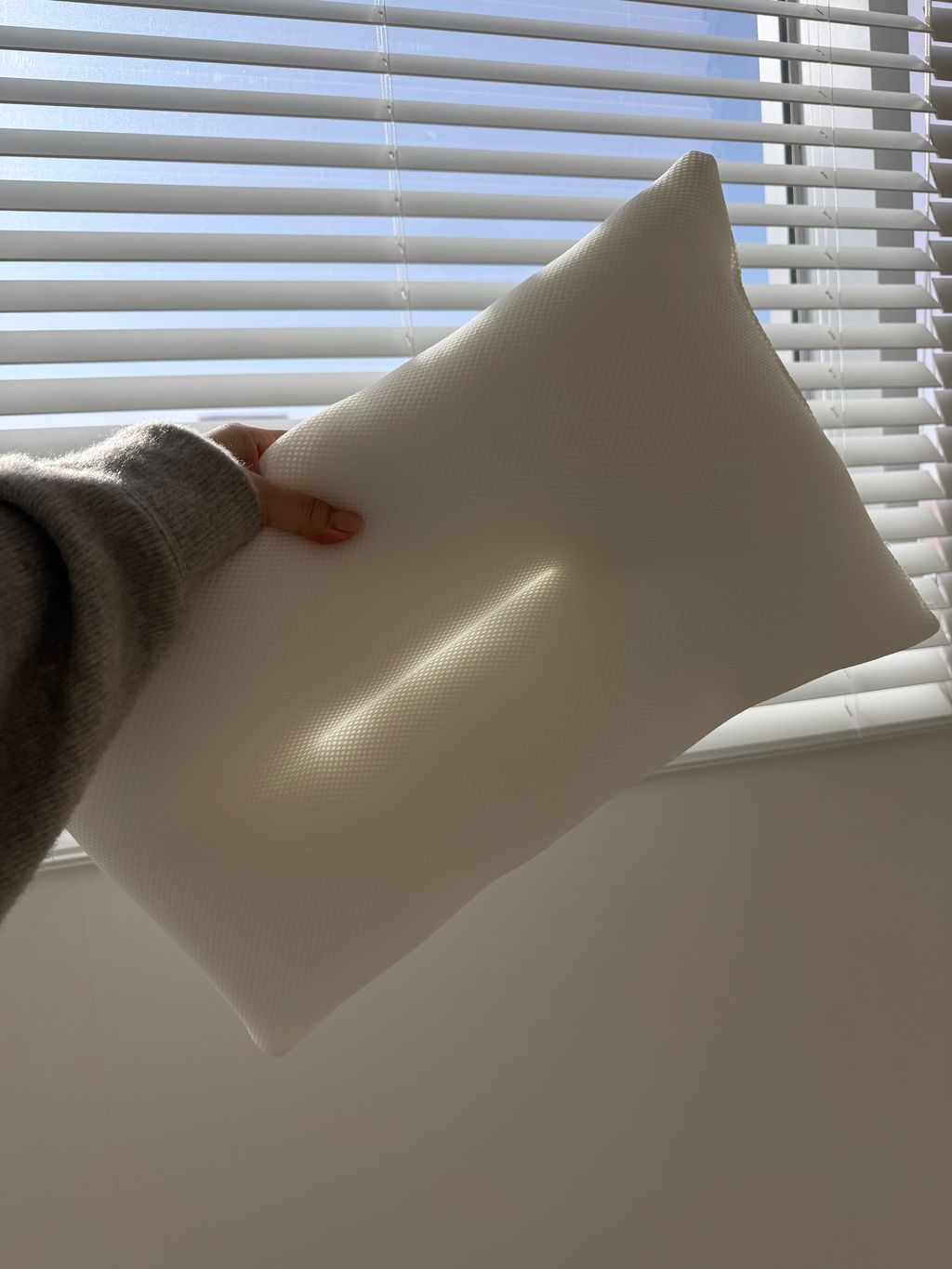 image_799D037F-B165-49A5-AAAC-F2F4F7EE75C0_1767445076