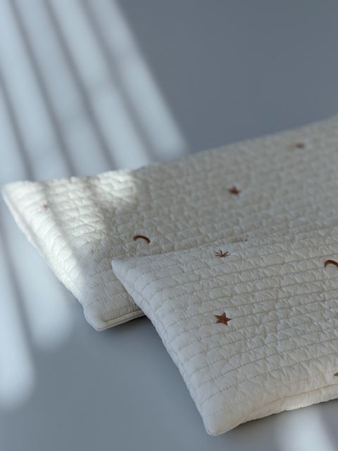 image_2A74D543-9B76-4F4A-A68D-D066330465BC_1768112911