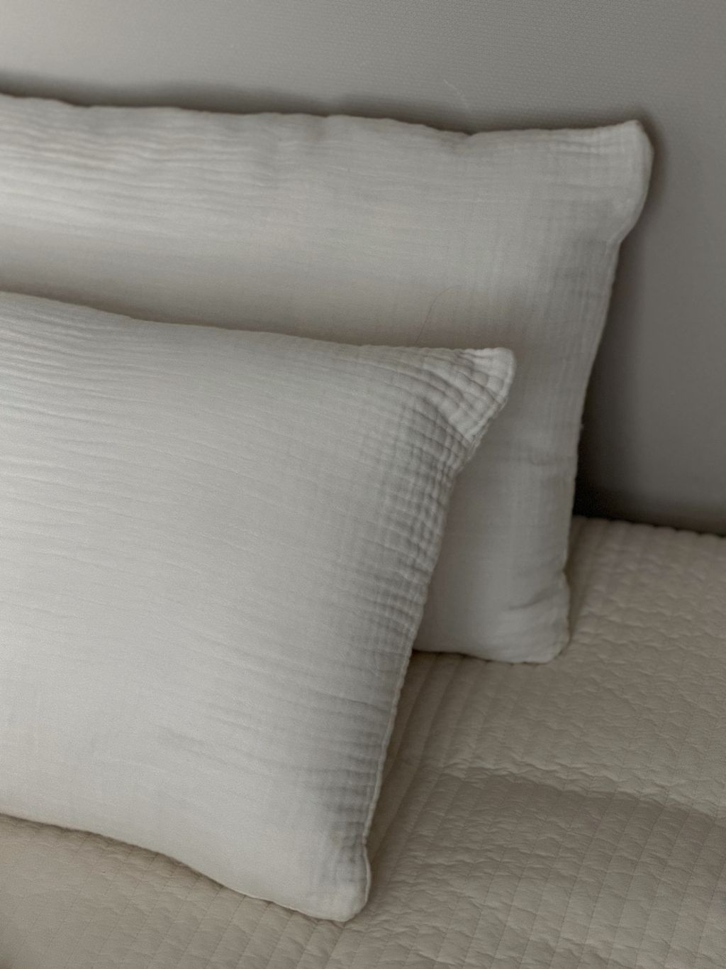 image_76BCC337-7E70-4399-A2D7-E76FA63D7D7E_1770779546