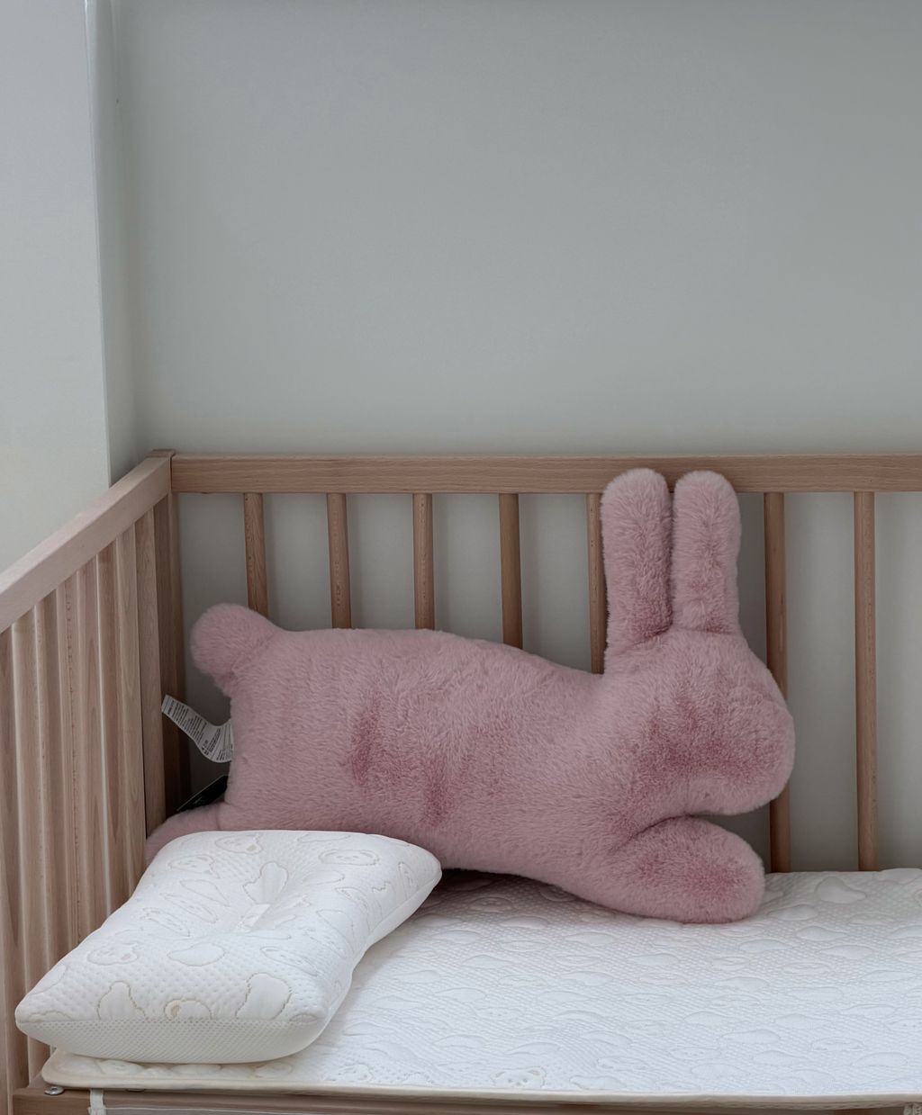 image_82A9D348-C81B-484B-BBC1-71D4D97154CD_1771777098