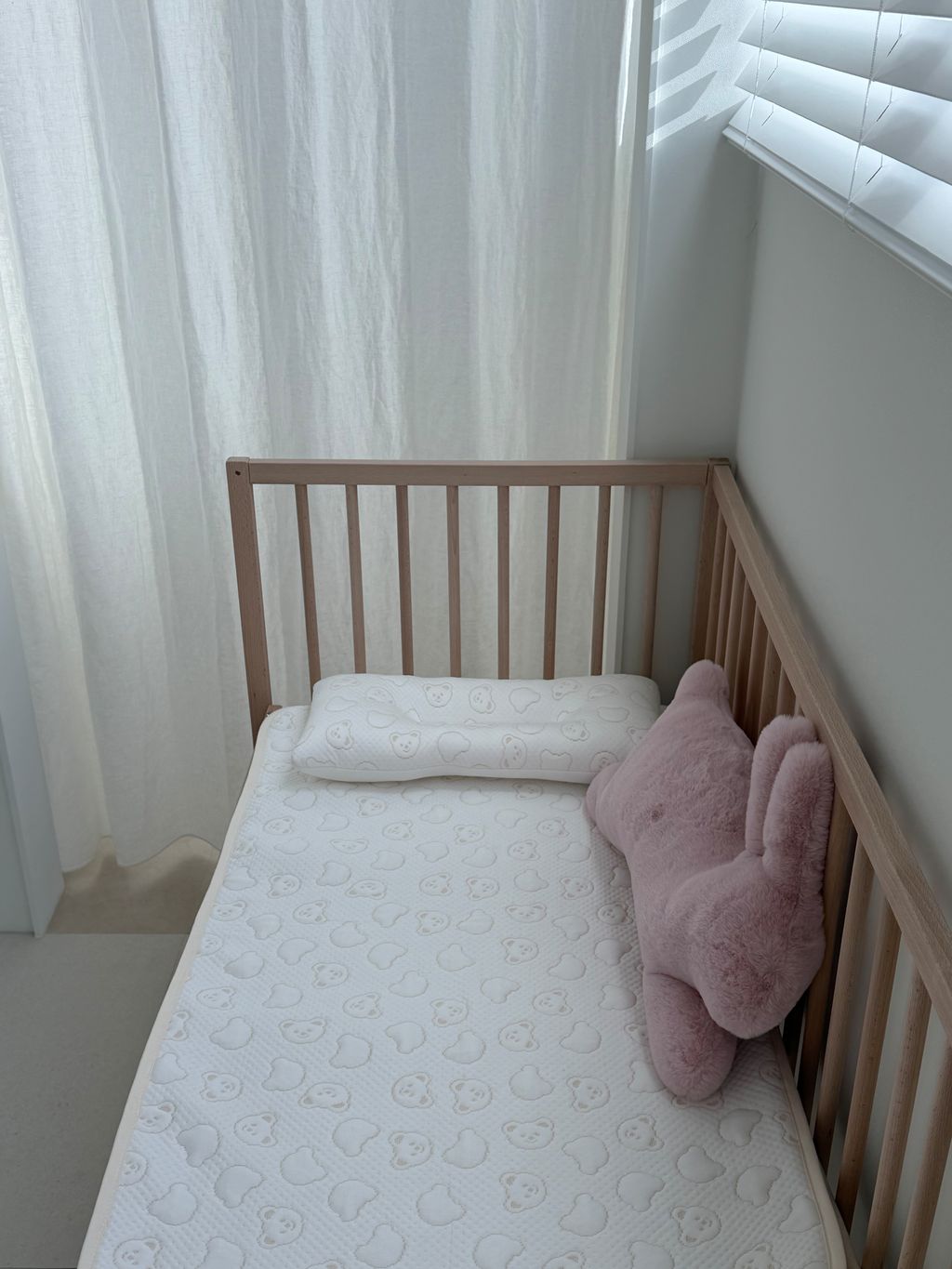 image_3249FC3B-7C61-4CDC-B1D3-1F1C2CE3BAA0_1771777099