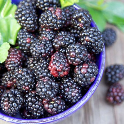 Black Raspberry