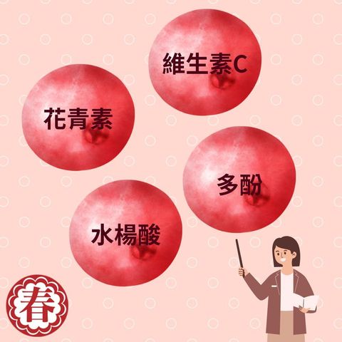 春哥好物蔓越莓原果
