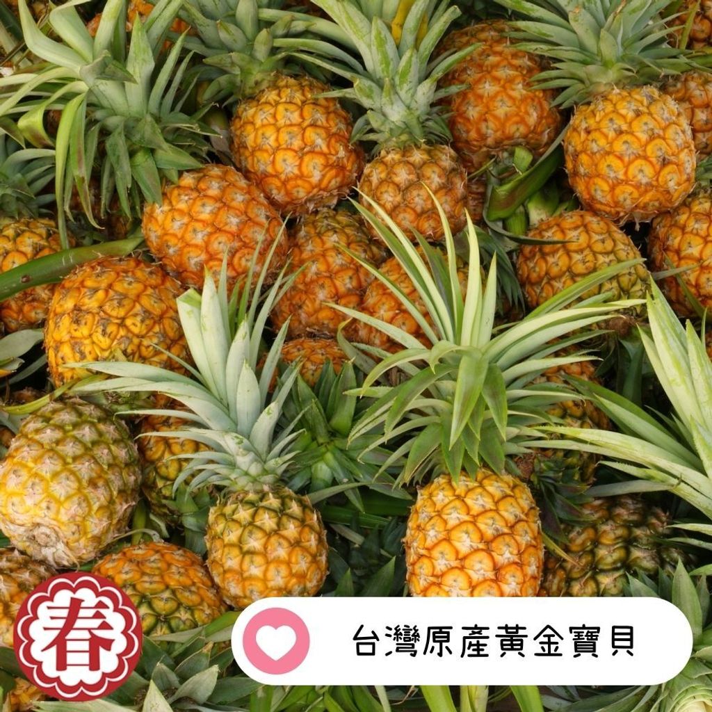 春哥新_脆片 鳳梨脆片 (3)