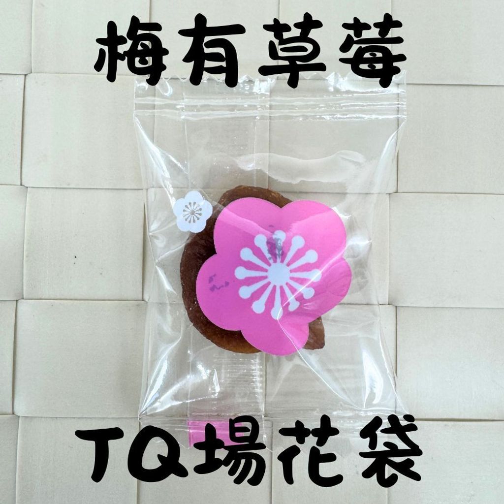 春哥好物 梅子抱芒果 梅有系列 的複本 (22)