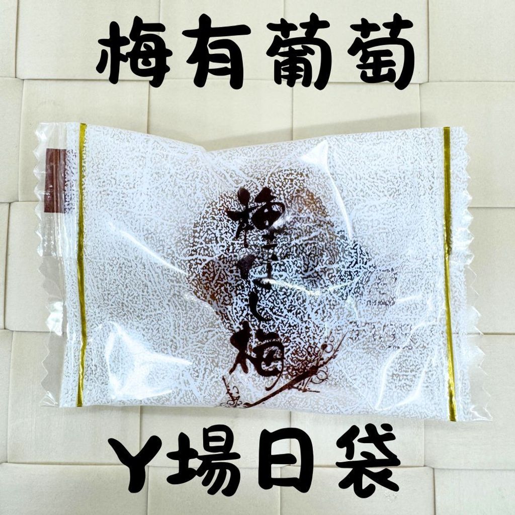 春哥好物 梅子抱芒果 梅有系列 的複本 (14)