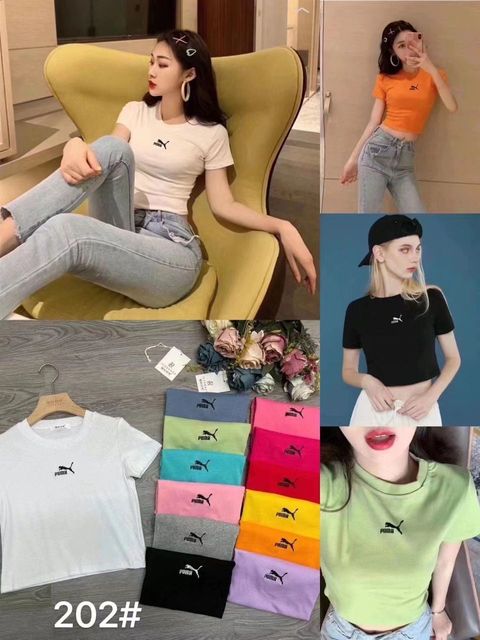 WhatsApp Image 2023-07-26 at 11.22.28