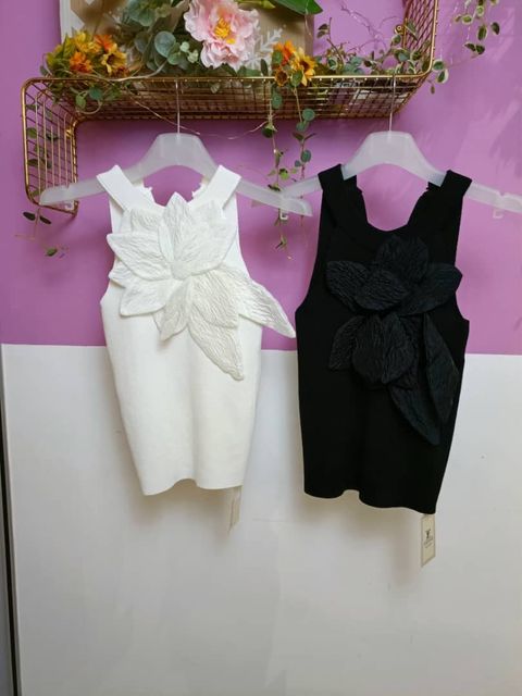 WhatsApp Image 2024-07-09 at 12.24.51